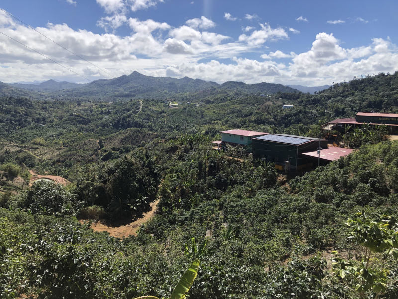 ABUELO DOMINGO, Puerto Rico